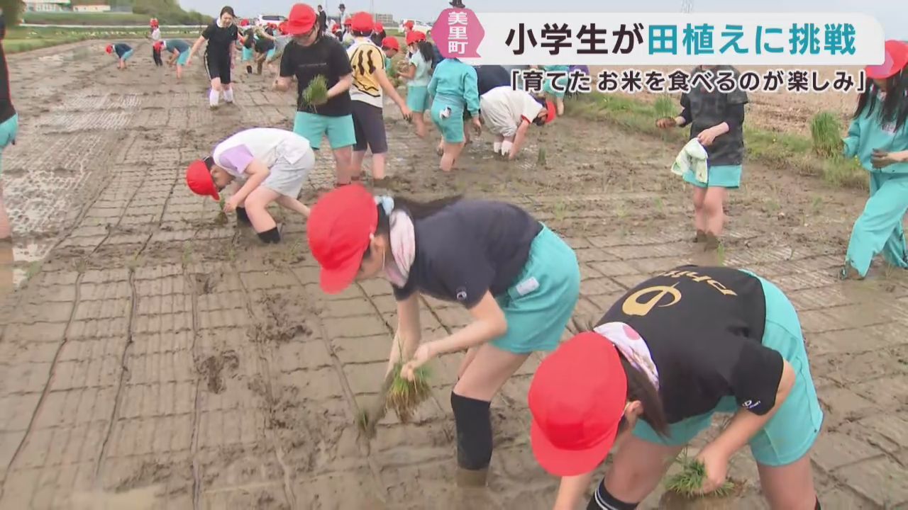 小学生が田植え体験　稲作文化を学ぶ　宮城・美里町