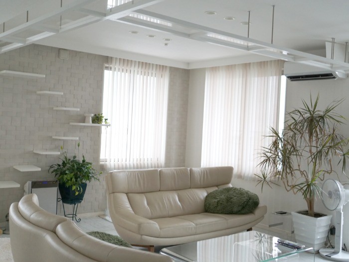 リビングの様子。キャットウォークは寝室へと続く