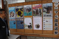 「アニマル園長選挙」に立候補した動物の愛らしいポスターを掲げる園内掲示板（京都市左京区・市動物園）