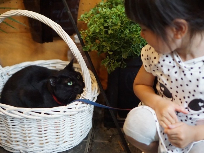 「なんて名前？」「かんな」「お花好き？」「うん、ジジも好き」