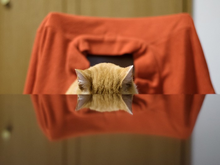 「ふー、遊び疲れた」（小林写函撮影）