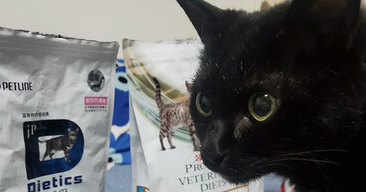 コロナの影響で愛猫の療法食が手に入らない さあ困った 代替品探しに大わらわ 犬 猫との幸せな暮らしのためのペット情報サイト Sippo
