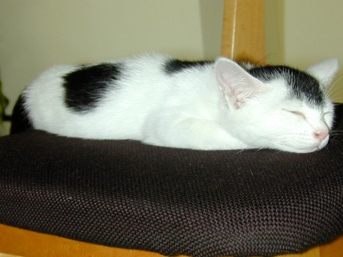 寝る子は育つってよ（提供写真）