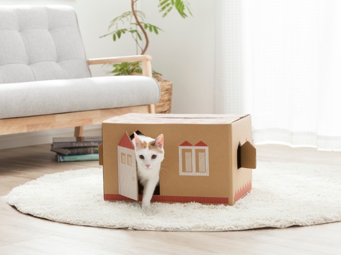 （カインズ提供）