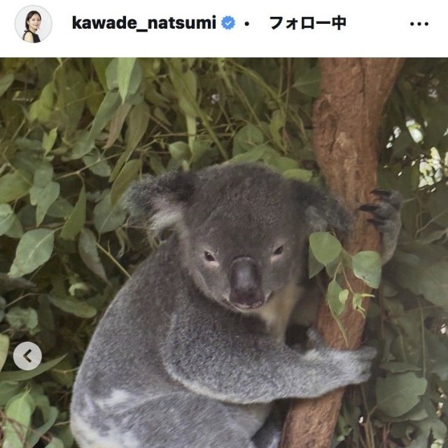 河出奈都美アナウンサーのインスタグラム＠kawade_natsumiより