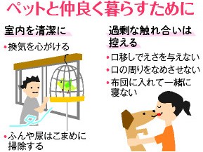 ペットと口移しやキスはＮＧ　「恋人」でなく「友だち」の距離を