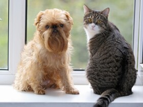 【投稿募集】新型コロナ　あなたが今思うことを教えてください！