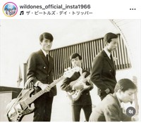 ザ・ワイルドワンズのインスタグラム＠wildones_official_insta1966より