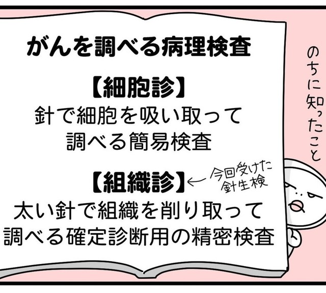 細胞診は簡易検査で組織診は精密検査（しろめちゃんさん提供）