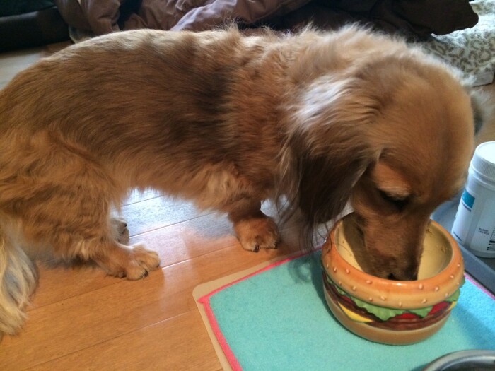 病気がわかってから、当たり前と思っていた口から食べられるということが、とても幸せに感じられた（山中さん提供）