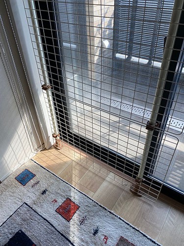 てんちゃんがいる時からベランダに取り付けてある脱走防護柵。「保護猫ブログで脱走のリスクを読んでいて、猫を迎える前に柵をつけるのが当たり前と思っていました」（さかざきさん提供）