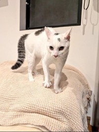 かわいい、やんのかステップ。場所見知りも人見知りもせず、車に乗るのが大好きだった