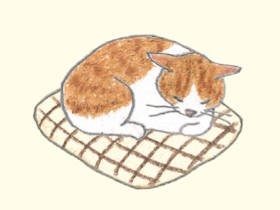 猫との日常を詠む短歌＆エッセイ本「猫のいる家に帰りたい」　付録はちゅ～る用ポチ袋