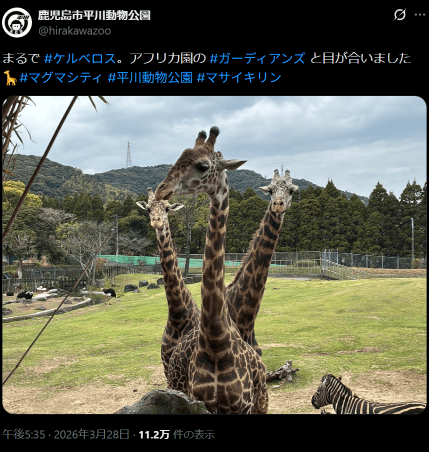 綺麗にシンクロ