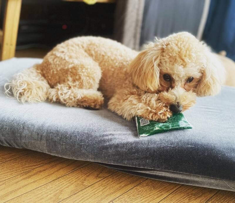 Lux（ルークス）