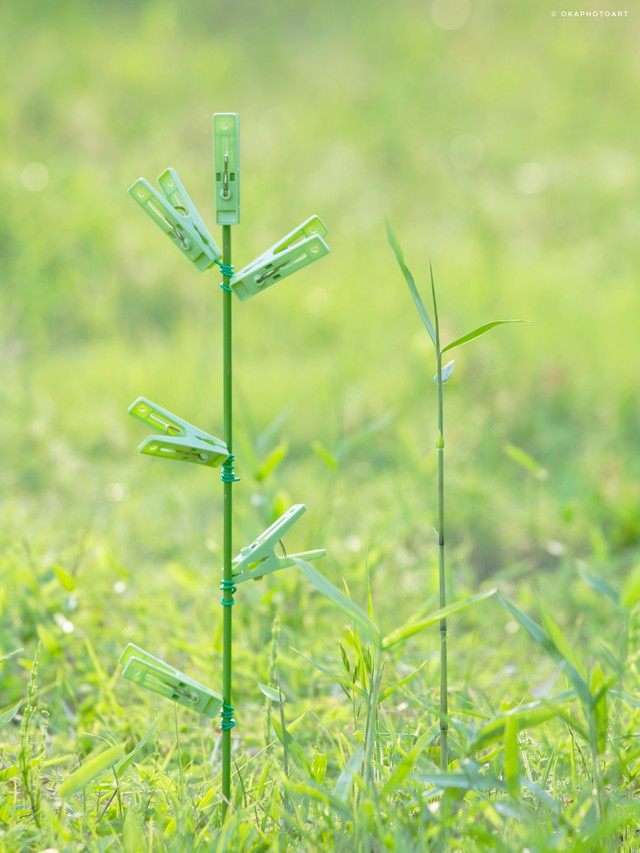 「この時期、洗竹バサミがよくのびる」（岡本なうさん提供）