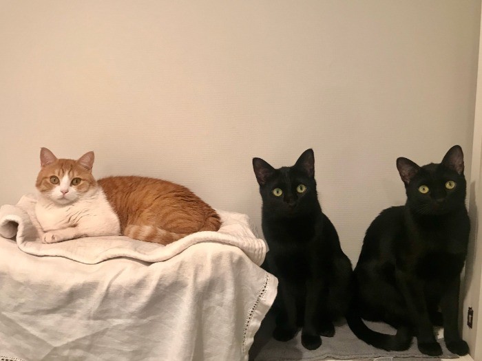 久しぶりの３ショット撮影に成功！