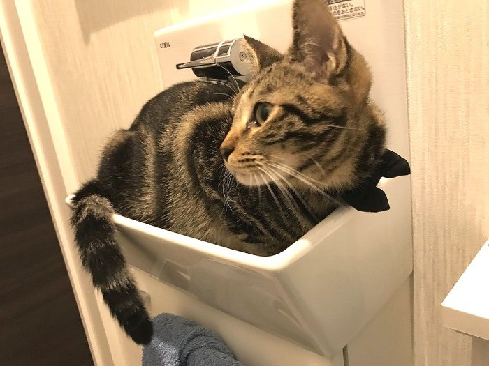 ここが一番好きなの