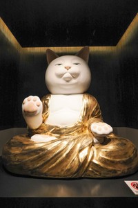 高さ２メートルの猫大仏は世界最大級という