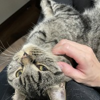 日々のスキンシップも大切にしている