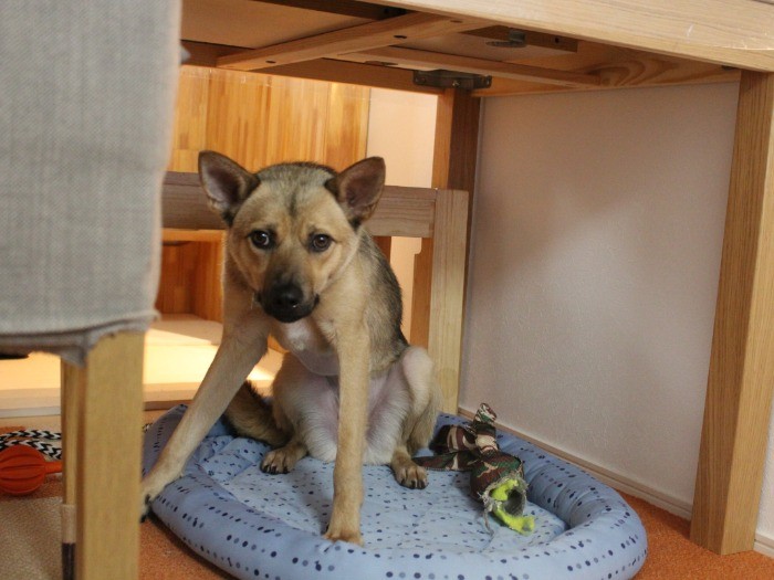 もうそろそろ帰ってくれませんか