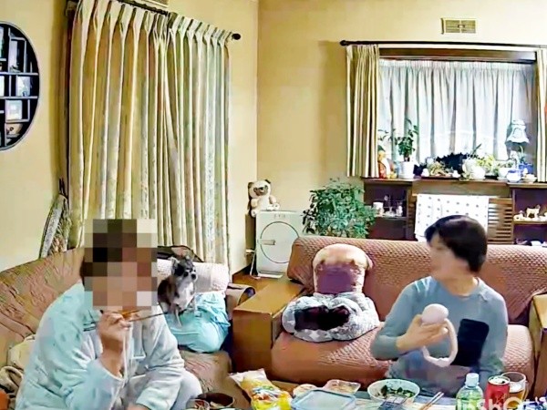 ぬいぐるみが飛んできて、飼い主さんたちはびっくり（画像提供：ナミスケさん）