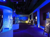 四国水族館　ゴールデンウィークに午後9時まで営業時間延長　特別プログラムも