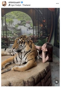 清水あいりインスタグラム＠shimizuairiより