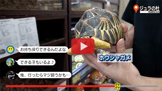 #514ジュラの杜③