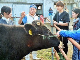 獣医学教育のありかた　山口大共同獣医学部の田浦保穂教授に聞く
