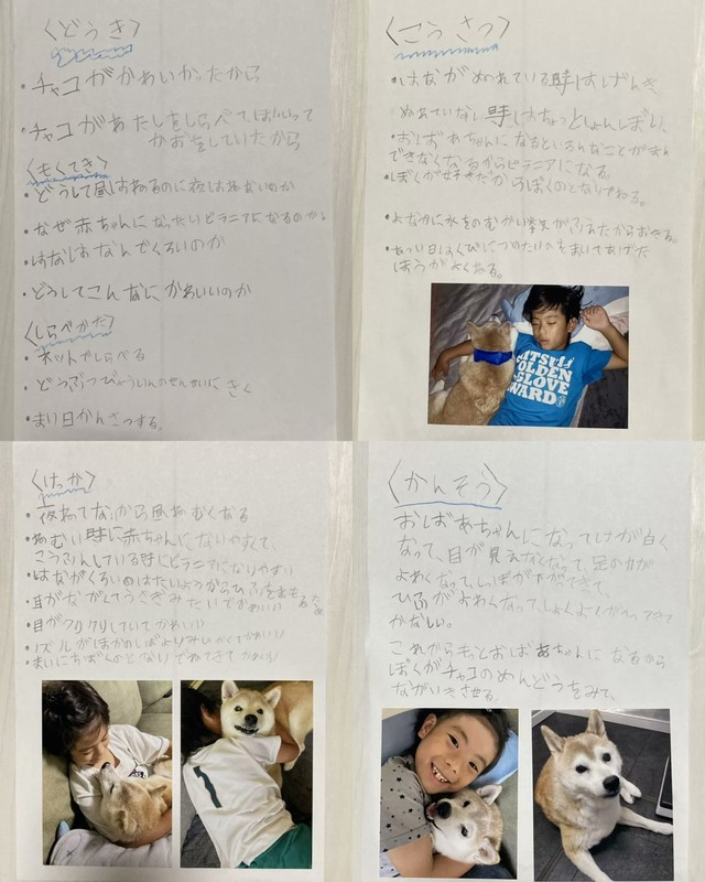 2022年、しゅんくんが小学2年生のときに行った自由研究「ぼくとチャコ」（パパさん提供）