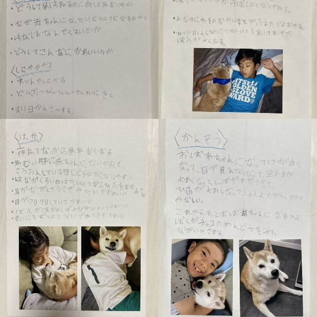2022年、しゅんくんが小学2年生のときに行った自由研究「ぼくとチャコ」（パパさん提供）