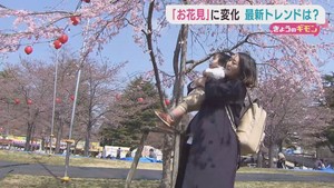 お花見シーズン到来　それぞれの楽しみ方