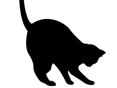 猫の死骸を捨てた男を現行犯逮捕　周辺で猫の不審死、相次ぐ