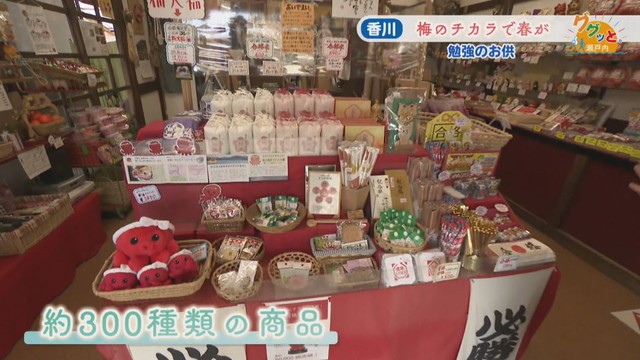 合格梅花堂(香川・綾川町)