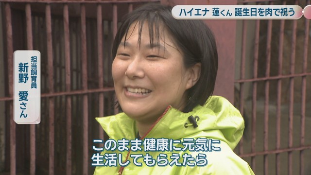 担当飼育員／新野愛さん