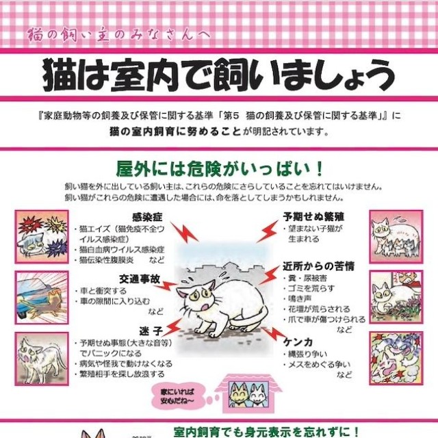 「猫は室内で飼いましょう」（環境省のHPより）