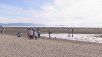 四国水族館　父母ヶ浜で生きもの観察会を開催　小学生の親子を募集　香川