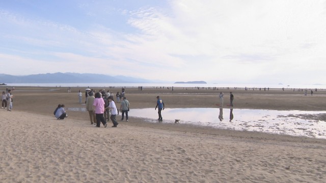四国水族館　父母ヶ浜で生きもの観察会を開催　小学生の親子を募集　香川