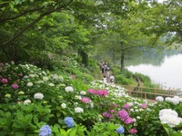 提供：国営讃岐まんのう公園