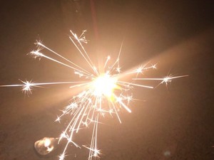 ほたる　いかが