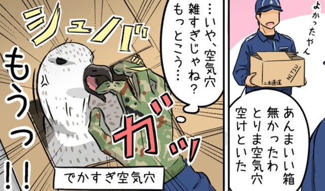 本当は餌など与えず暗くして安静にさせるべきなのだが、当時作者は知らなかったようだ（タニシさん提供）