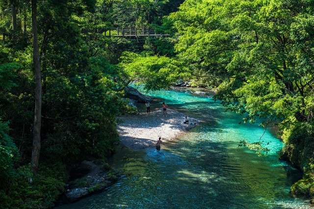 山県市を流れる清流、神崎川。自然が豊かな地域です