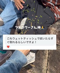 ウェットティッシュでひっつき虫が取れる…！？（提供：＠hana_3mama_さん）
