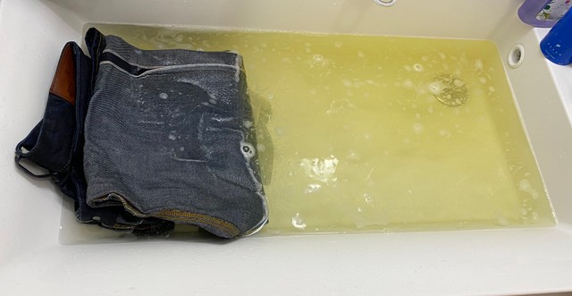 1年ぶりに洗った際の様子。水が黄緑色に変色している／ニラ根っこしましょ。さん（@1leek1roots）提供