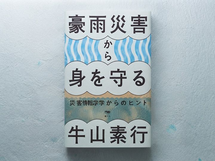 30年間の研究に基づく専門家の実態と対策。予測と備えがわかる必携の一冊。
