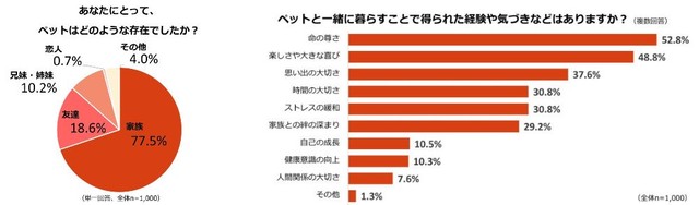 ペットはどのような存在だったか／ペットと一緒に暮らすことで得られた経験や気づき（提供画像）