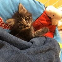 あったかくてふわふわのところが好き