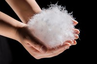 羽の隙間に空気を含むことで暖かさを保っている※画像はイメージです（Yoshihito Kagami/stock.adobe.com）