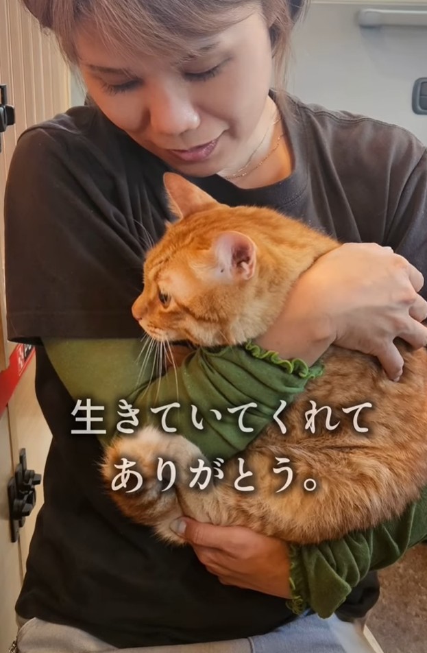 大好きなお母さんの呼びかけでボブを保護…生きていてくれて、ありがとう（「つかねこ動物愛護環境福祉事業部」さん提供、Instagramよりキャプチャ撮影）